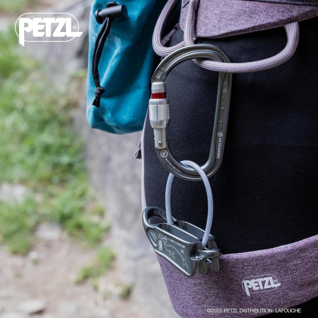 攀岩設備 Petzl Reverso 4 Belay 繩索裝置 Petzl Reverso 攀岩設備 Petzl Ver | 蝦皮購物