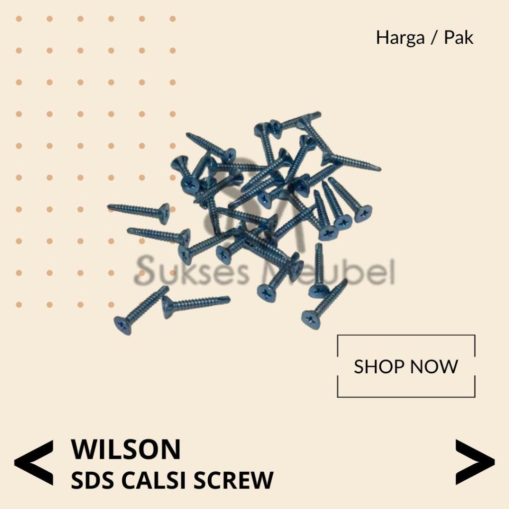SDS CALSI 螺絲 6 MM WILSON 1 包 SDS KALSIBOARD 螺絲 6MM | 蝦皮購物