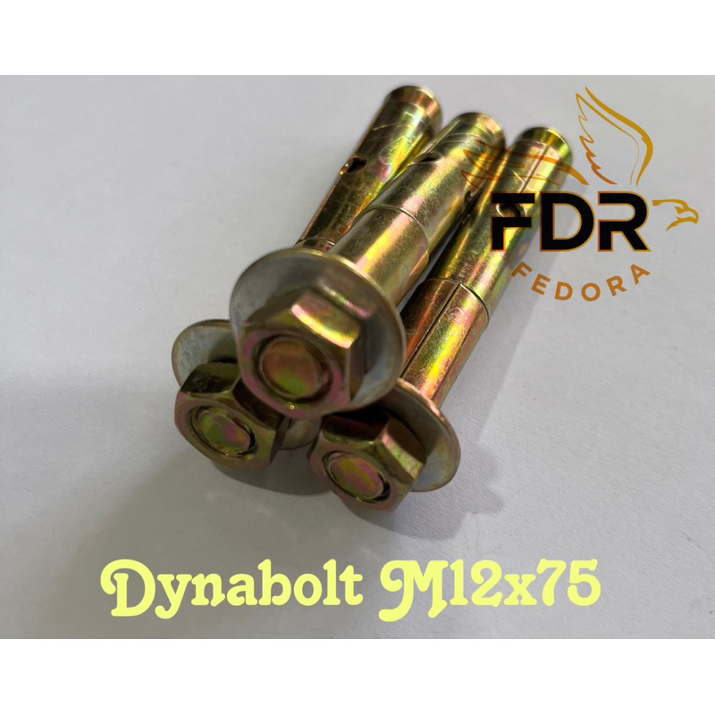 Dynabolt M12x75/Dynabolt 黃色 M12x75/膨脹螺栓 M12x75 | 蝦皮購物