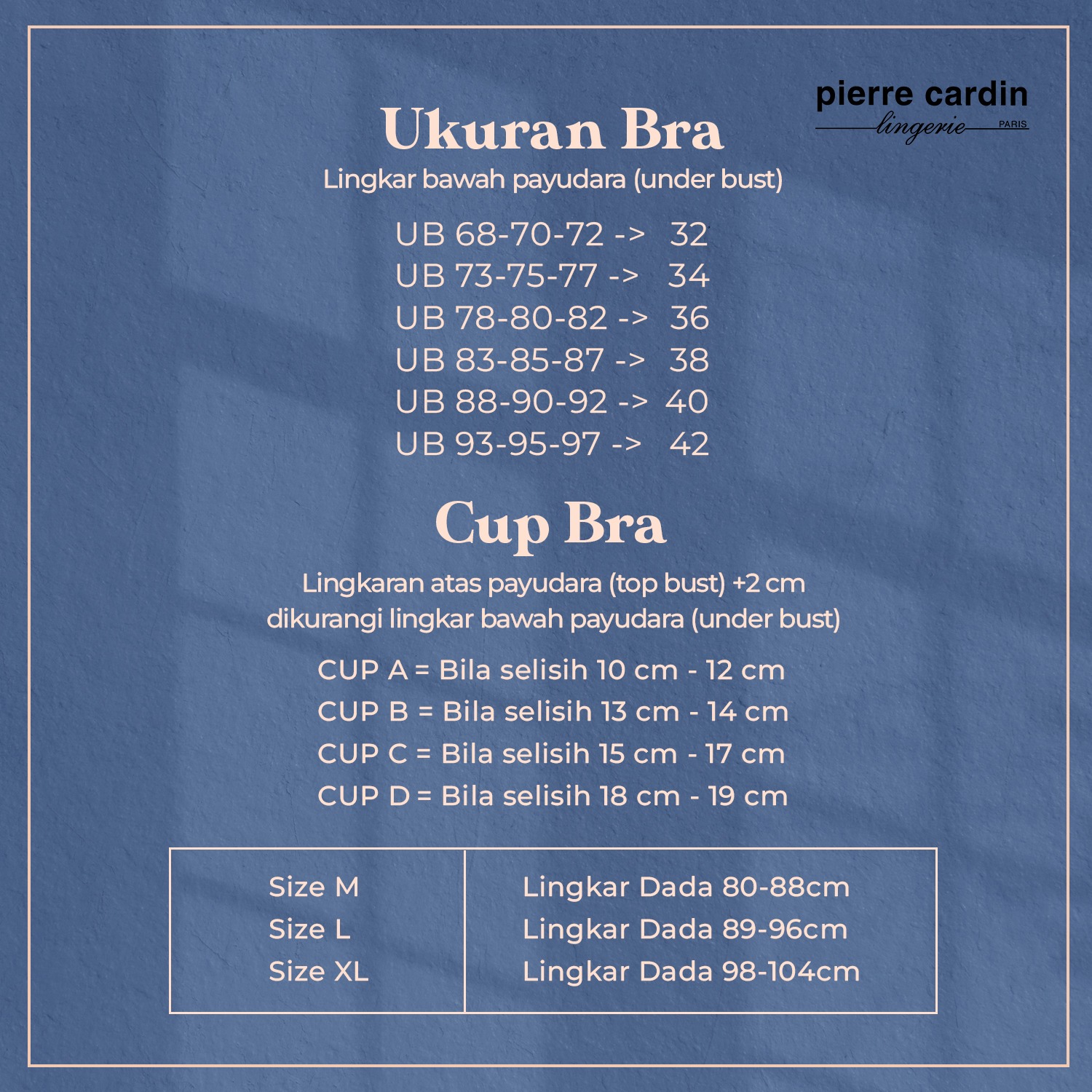 PIERRE CARDIN 皮爾卡丹文胸奢華抹胸有線罩杯 B 609-62032B | 蝦皮購物