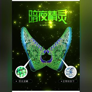 【臺灣現貨】足球鞋新款 足球鞋 低幫鞋足球鞋 中童大童成人 比賽球鞋 專業運動鞋 FG釘HG釘AG釘TF釘 夜間變色鞋 | 蝦皮購物