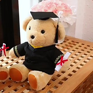 【現貨24H發】定制 学生 畢業熊 公仔 小熊 硕士 学士服 玩偶 博士帽 娃娃 校服 毕业 礼物 | 蝦皮購物