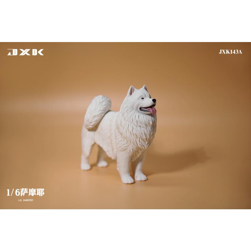 【那間模型】JXK 1/6 仿真 薩摩耶 狗 寵物 狐狸犬 模型 公仔 兵人 場景 JXK143