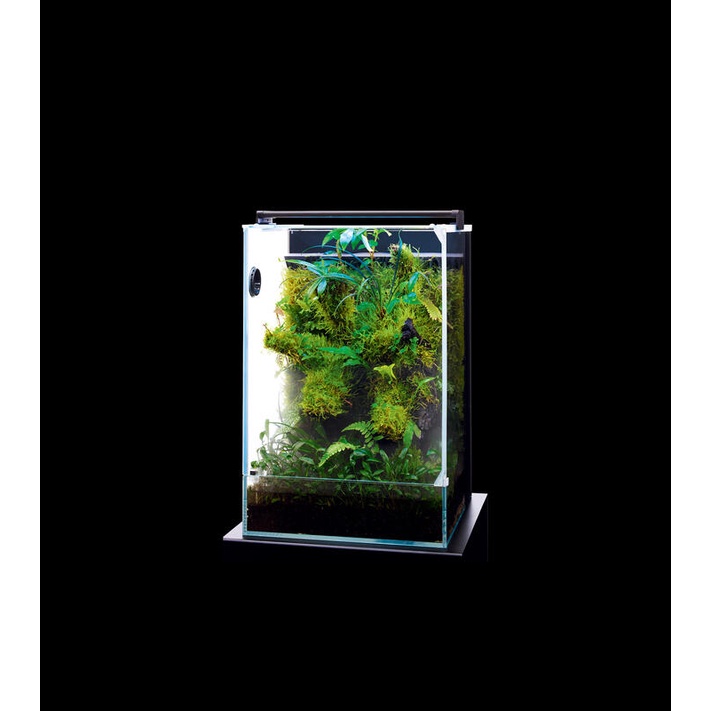 水族之森 日本 DOOA SYSTEM PALUDA 30 熱帶雨林系統缸 (W30X30X45cm) | 蝦皮購物