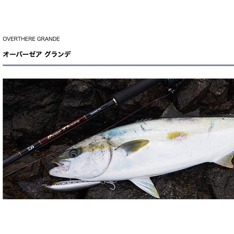 ◎百有釣具◎ DAIWA OVER THERE GRANDE 100H-3/100HH-3並繼路亞竿 頂級款三節式好攜帶