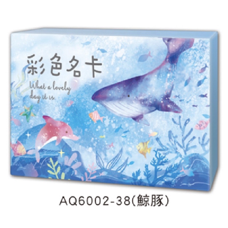 彩色名卡 禮卡 留言 傳情小卡 名片卡便條 商品卡 設計 名片 便條紙 備忘 memo 名片卡 | 蝦皮購物
