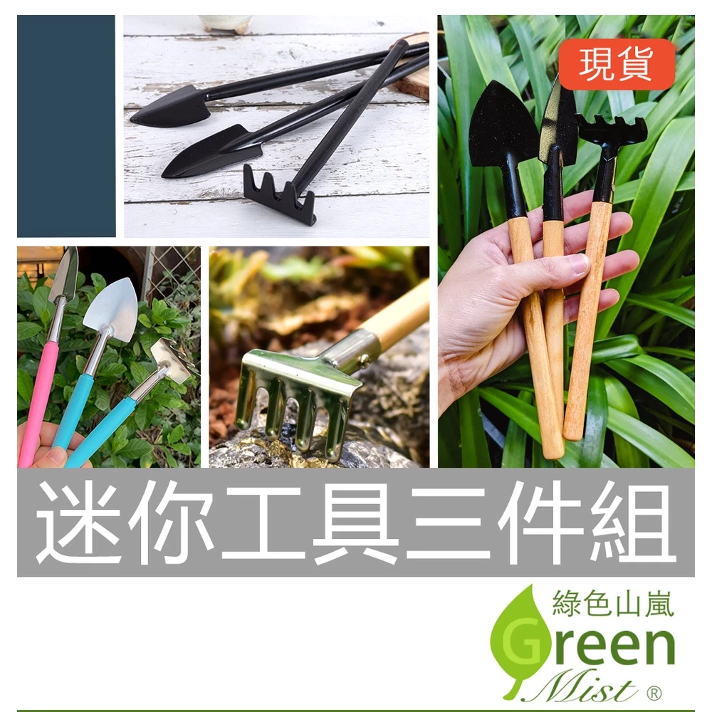 迷你園藝工具3件組(不銹鋼/塑膠) 多肉工具 園藝工具 迷你園藝工具組 不銹鋼工具 【綠色山嵐】