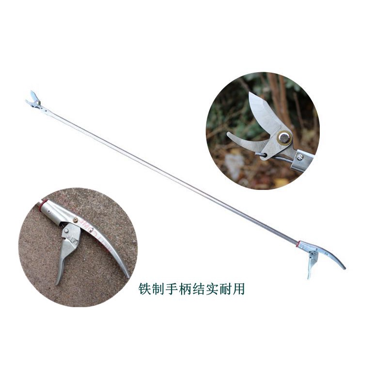 小店滿290出貨加長杆高枝剪修枝剪可伸縮剪刀樹枝剪園林果樹剪高空剪鋸花剪長柄 | 蝦皮購物