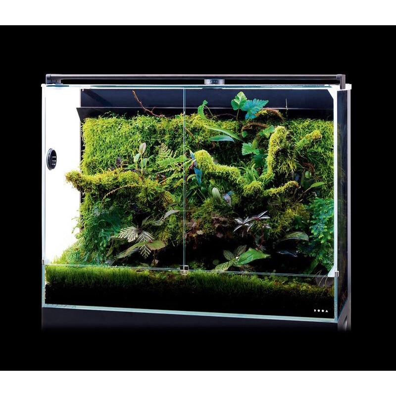 水族之森 日本 DOOA SYSTEM PALUDA 60 熱帶雨林系統缸 (W60X30X45cm) | 蝦皮購物