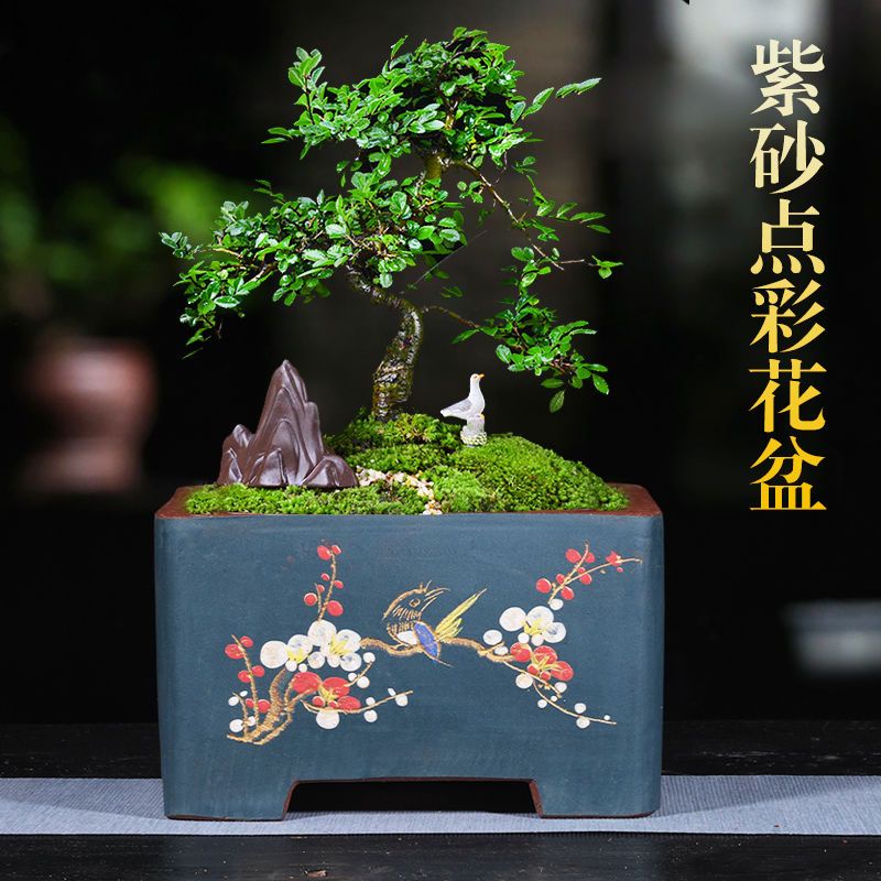 綸綸手工精品紫砂盆（速出貨）紫砂盆四方盆圓型盆紫砂粉漿直口馬陶瓷花