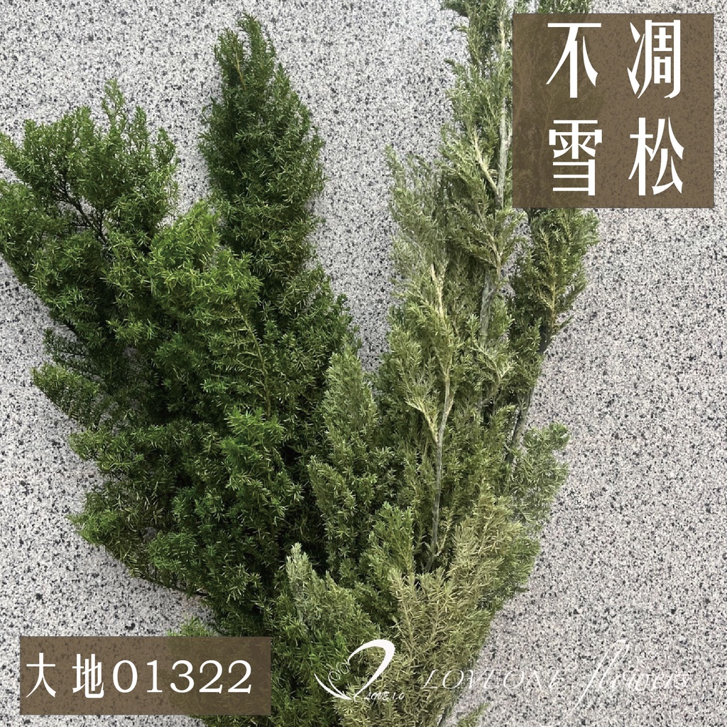 日本大地農園【雪松】 原裝非短枝 超值份量 ｜不凋雪松｜雪松｜松枝｜聖誕裝飾｜大地01322｜愛意花坊 | 蝦皮購物