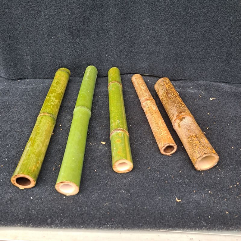桂竹不帶頭竹管，直徑5公分以內，長度42公分以內，一株40元，店到店重量在五公斤內，運費60元，OK45元。。 | 蝦皮購物