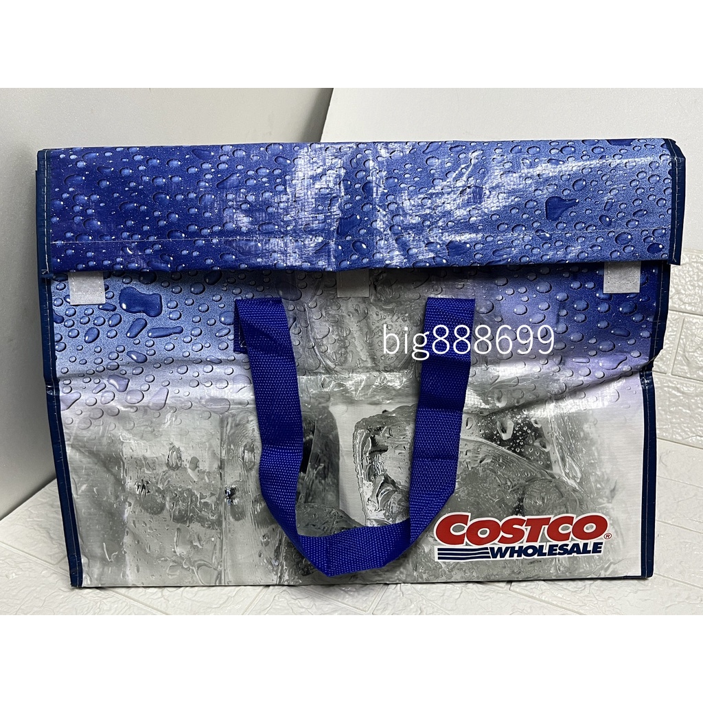 COSTCO COOLER BAG 546061