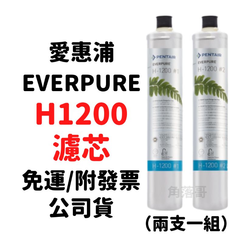 內有優惠活動 開發票 免運 原廠 愛惠浦 everpure H1200 h1200 濾芯 濾心 1200 #1 #2 | 蝦皮購物