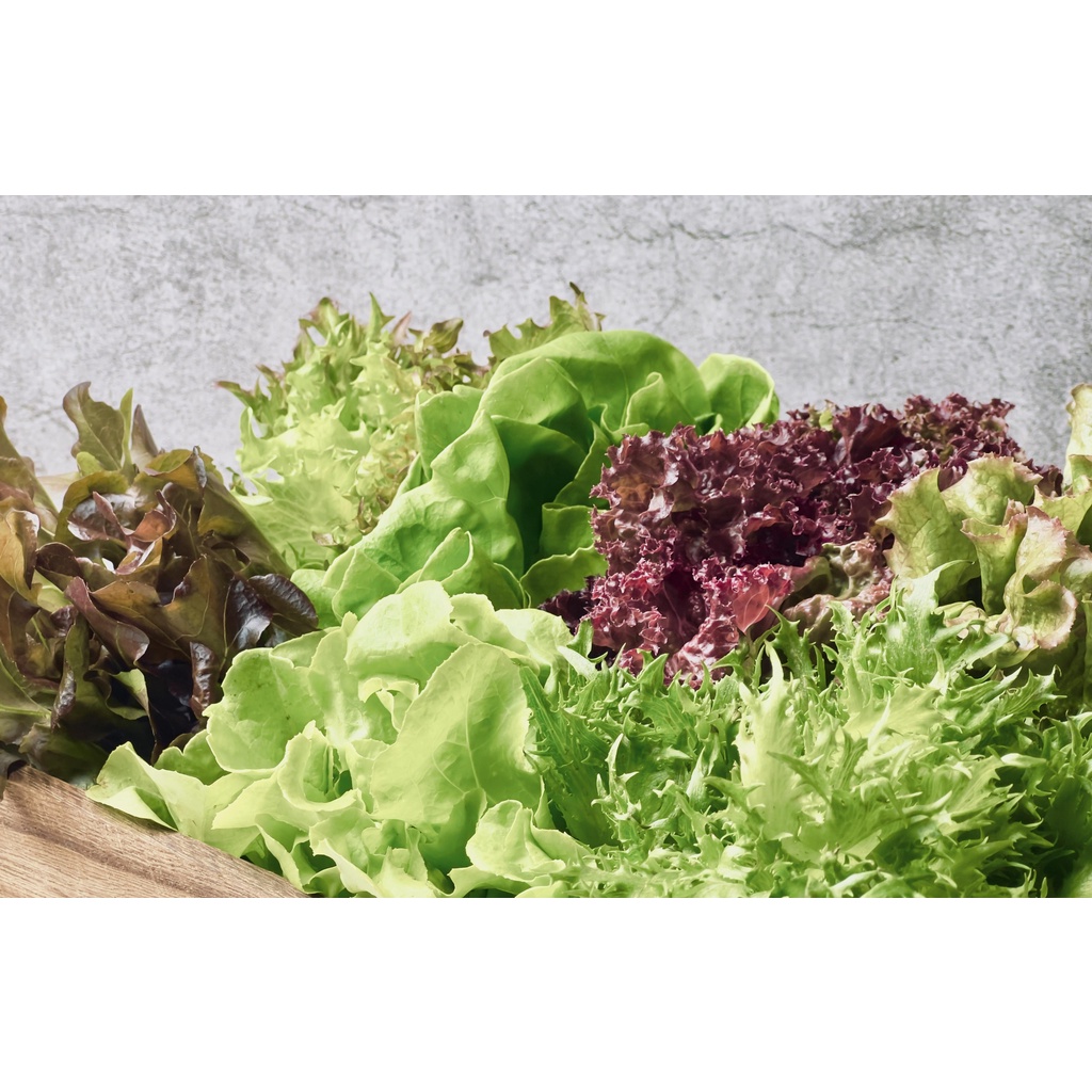 【生菜】 水耕生菜600g 萵苣 綜合生菜 水耕蔬菜 生菜沙拉 美生菜 蔬菜 芝麻葉 蔬食 蔬菜農場 綠十 生菜 | 蝦皮購物