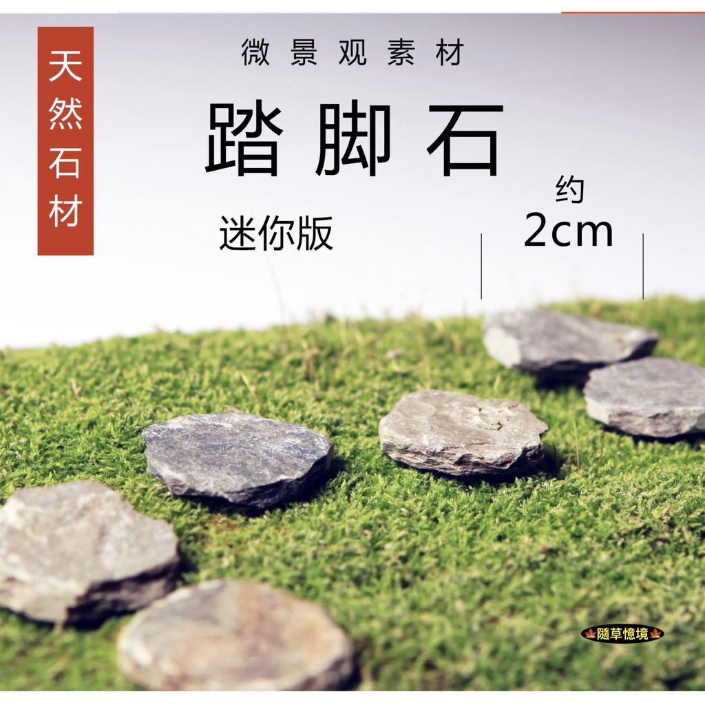 🍁（5入/10入超小天然石材）踏腳石 石階 草地磚 草磚 踏步石 石片 襌意 枯山水 生態 魚缸 苔蘚 微景觀 隨草憶境 | 蝦皮購物