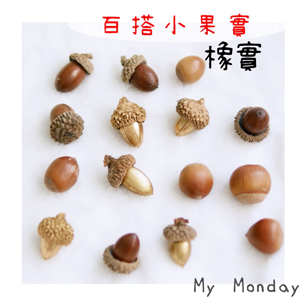 My Monday 衝評價!! 橡果【 橡實／ 栗子 】森林 龍貓 果實 乾燥 花材 花藝 聖誕節 萬聖節 花圈 | 蝦皮購物