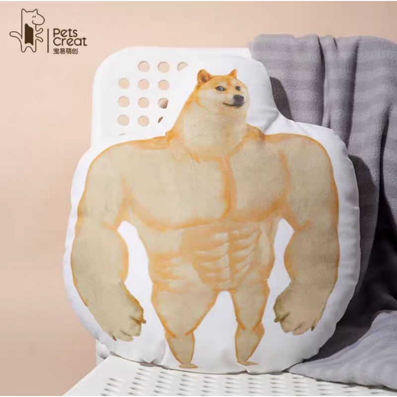 廢柴 肌肉柴 彩虹貓 Youtooz 多款迷因抱枕 Swole Doge Cheems Doge Nyan Cat 抱枕 | 蝦皮購物