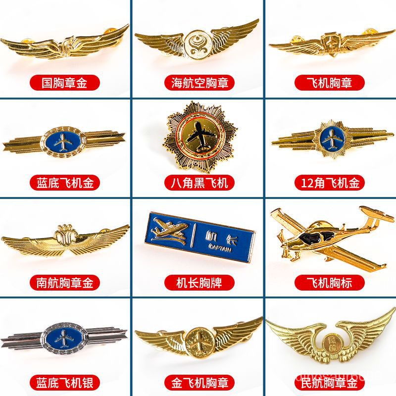 本店 JAL pilot 胸章 肩章 | yigitaluminyumprofil.com