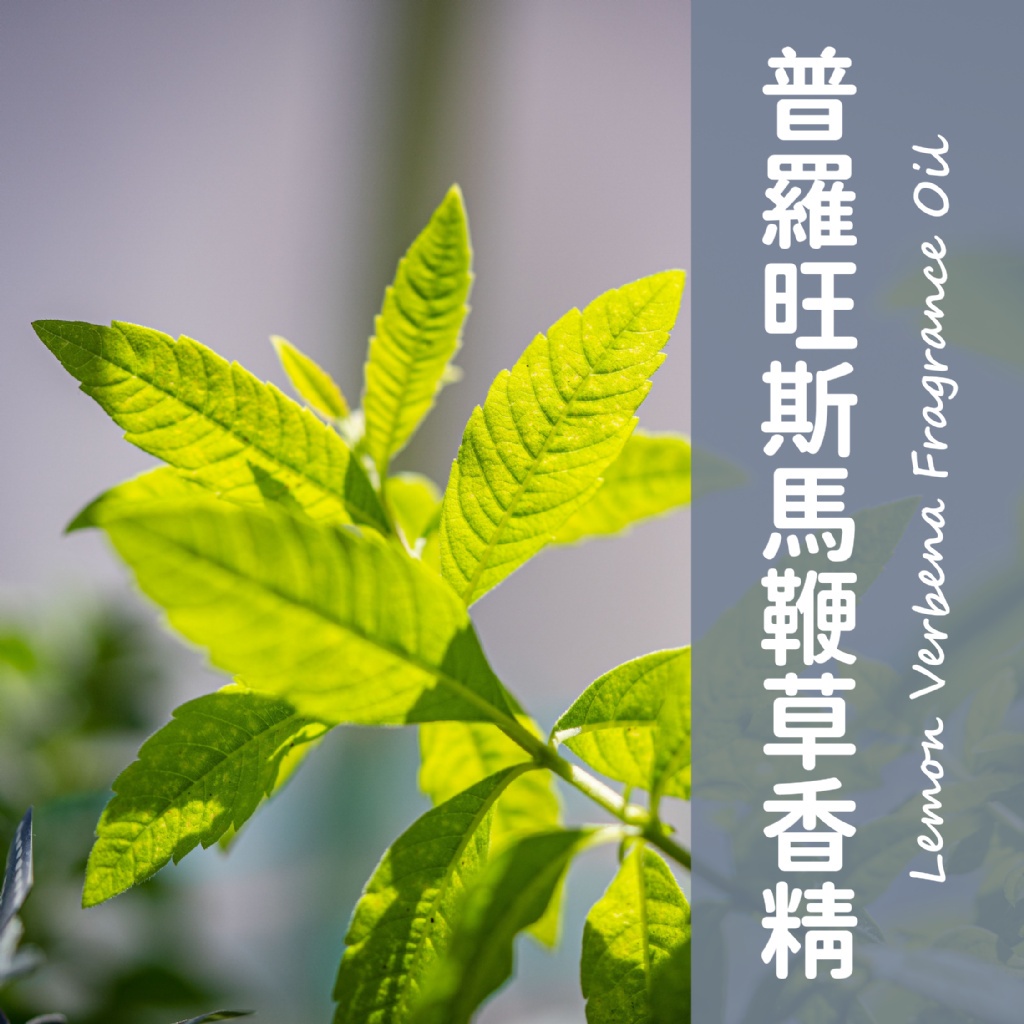 【馥靖精油】普羅旺斯馬鞭草香精 Lemon Verbena Fragrance Oil | 蝦皮購物