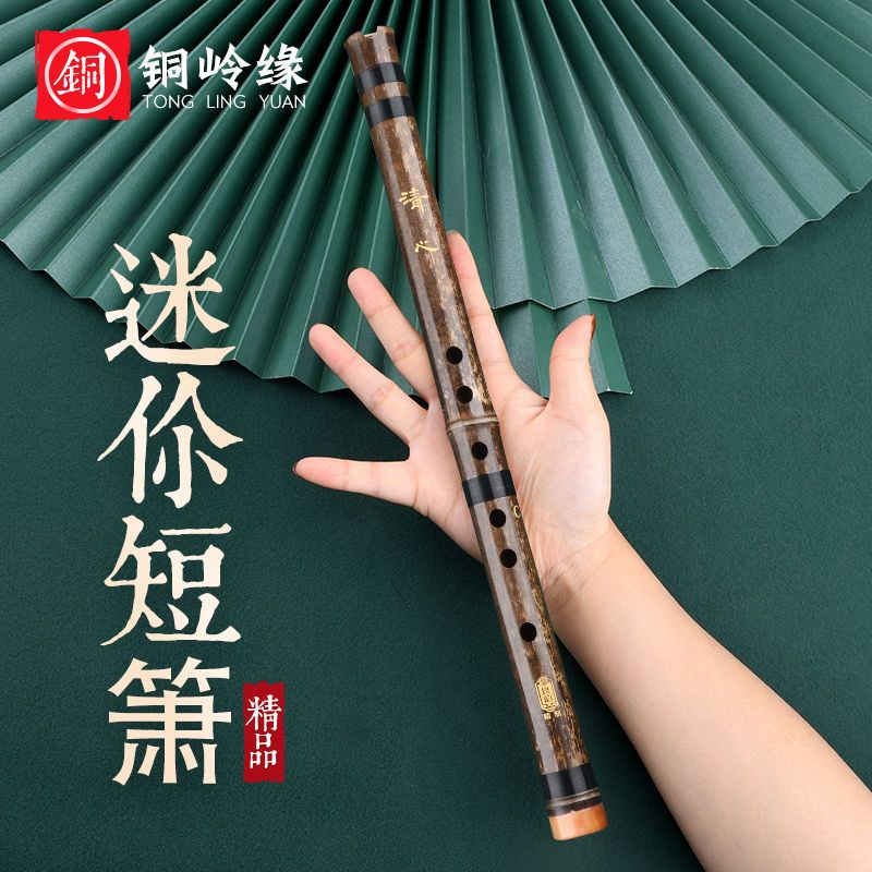簫樂器初學者入門紫竹蕭笛專業精製高檔玉瀟GF調古風六孔洞簫樂器 | 蝦皮購物