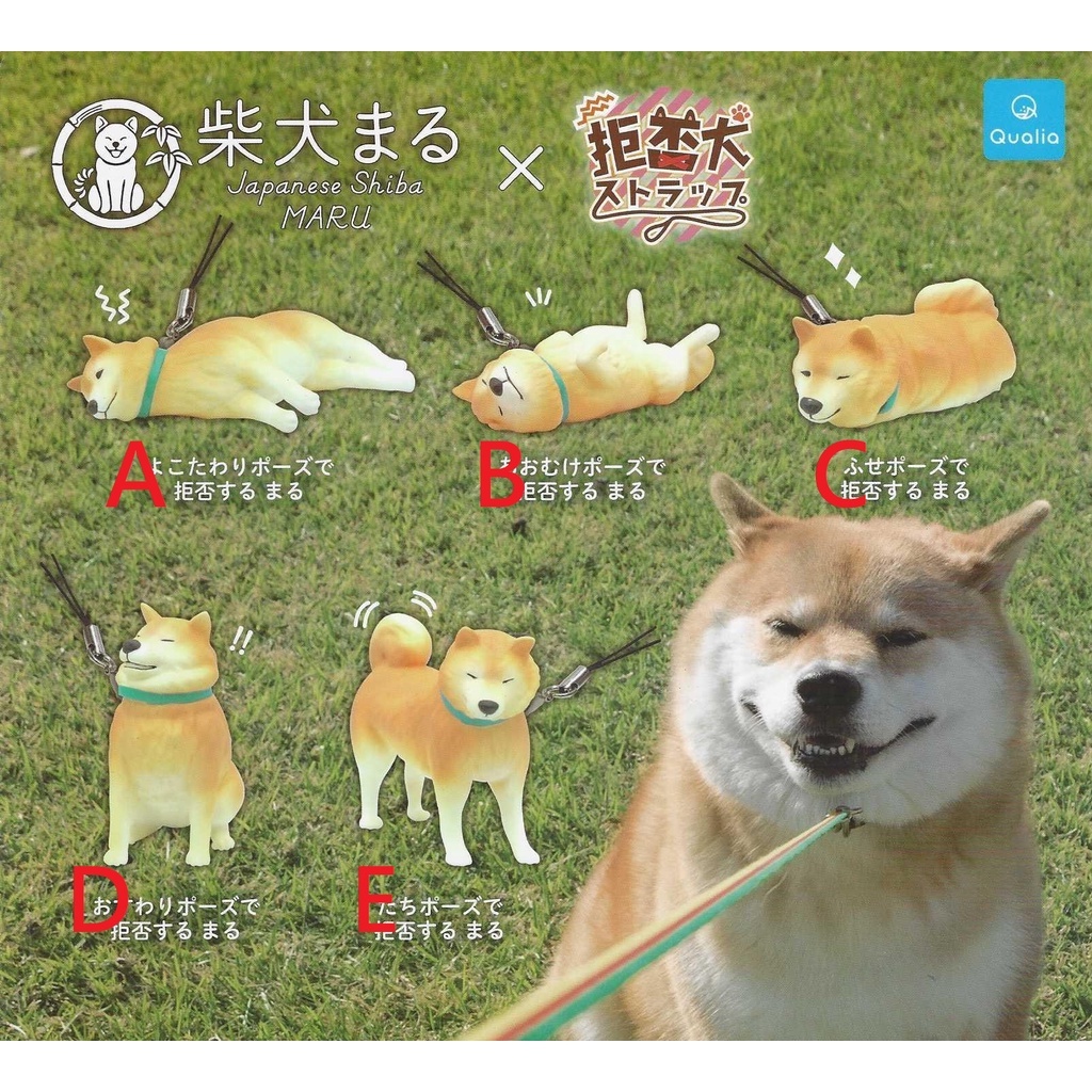 柴犬まる×拒否犬ストラップ たちポーズ - その他