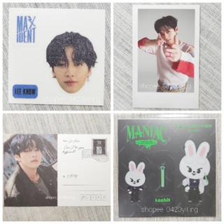 🔸️現貨售🔸️Stray Kids MAXIDENT 小卡 專輯 大卡 特典 限量 case143 straykids