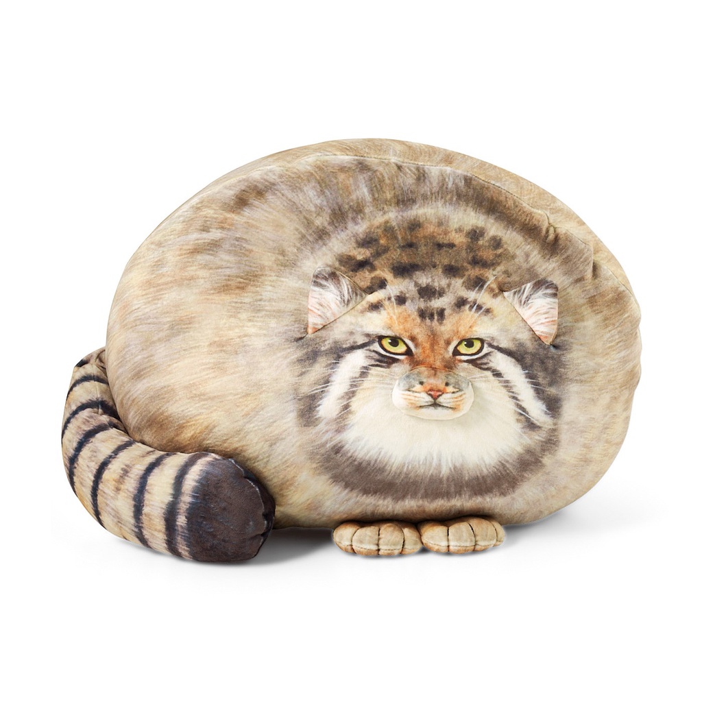 兔猻 最古老的貓! 現貨 日本代購 Felissimo You+more 可愛貓咪 洋猞猁 抱枕 玩偶 娃娃 | 蝦皮購物