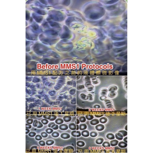 MMS / MMS1觀賞魚缸吉姆杭柏原創二氧化氯Master Mineral Solution 水質淨化劑 | 蝦皮購物