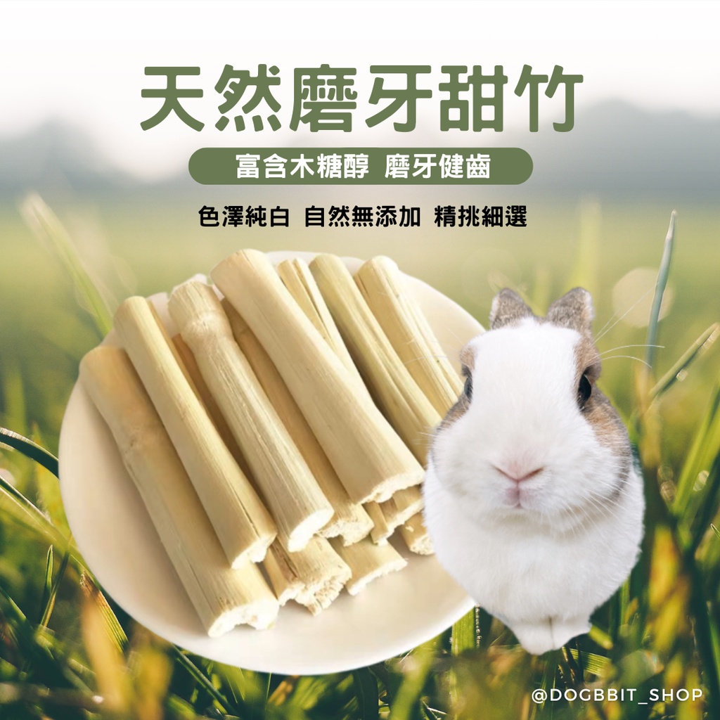 道格兔Dogbbit｜磨牙食物系列【天然高纖甜竹】磨牙甜竹 甜竹 兔子 天竺鼠 龍貓 天竺鼠零食 龍貓零食 兔子零食 | 蝦皮購物
