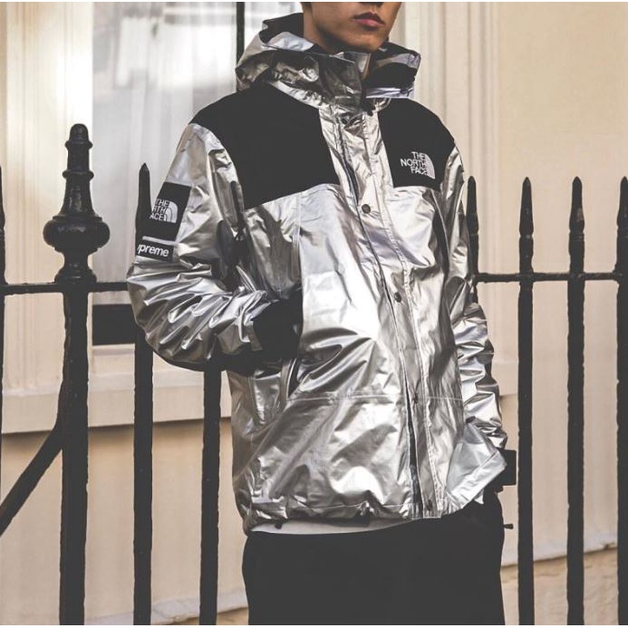 Supreme TNF Metallic Mountain Parka Silver
