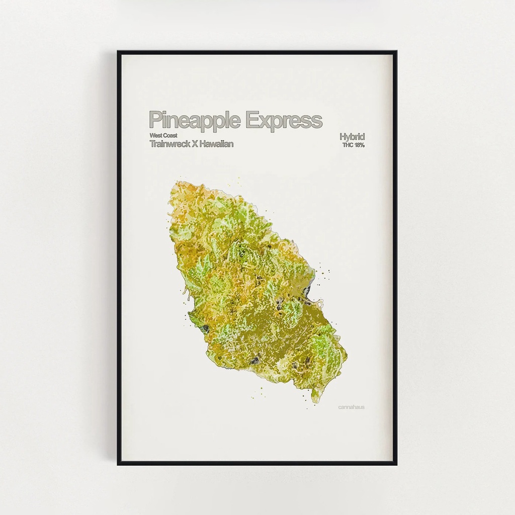 Pineapple Express Poster 菠蘿快車海報 | 蝦皮購物