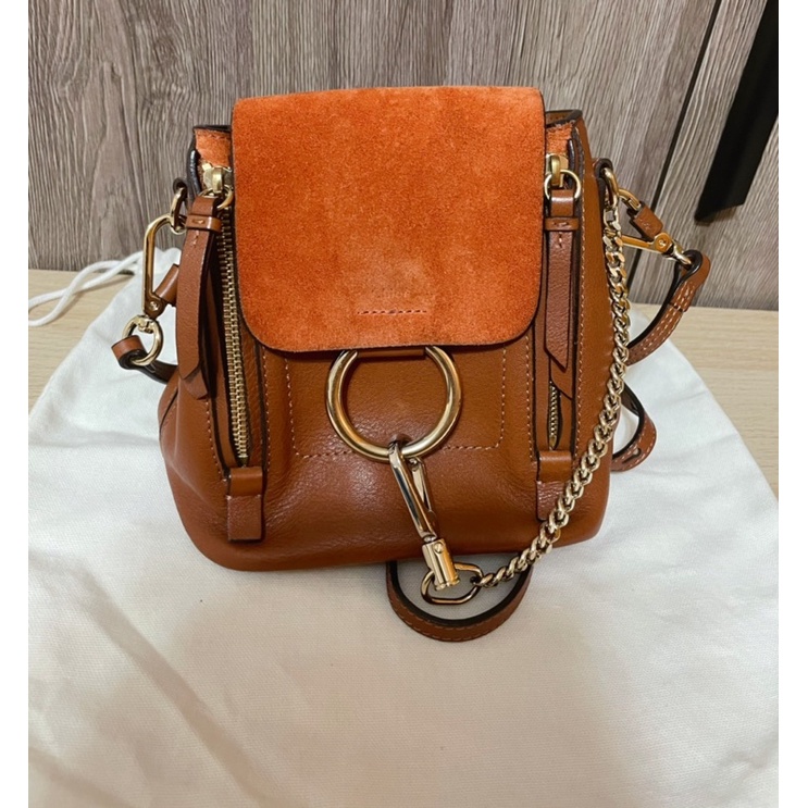 Chloe faye mini online crossbody