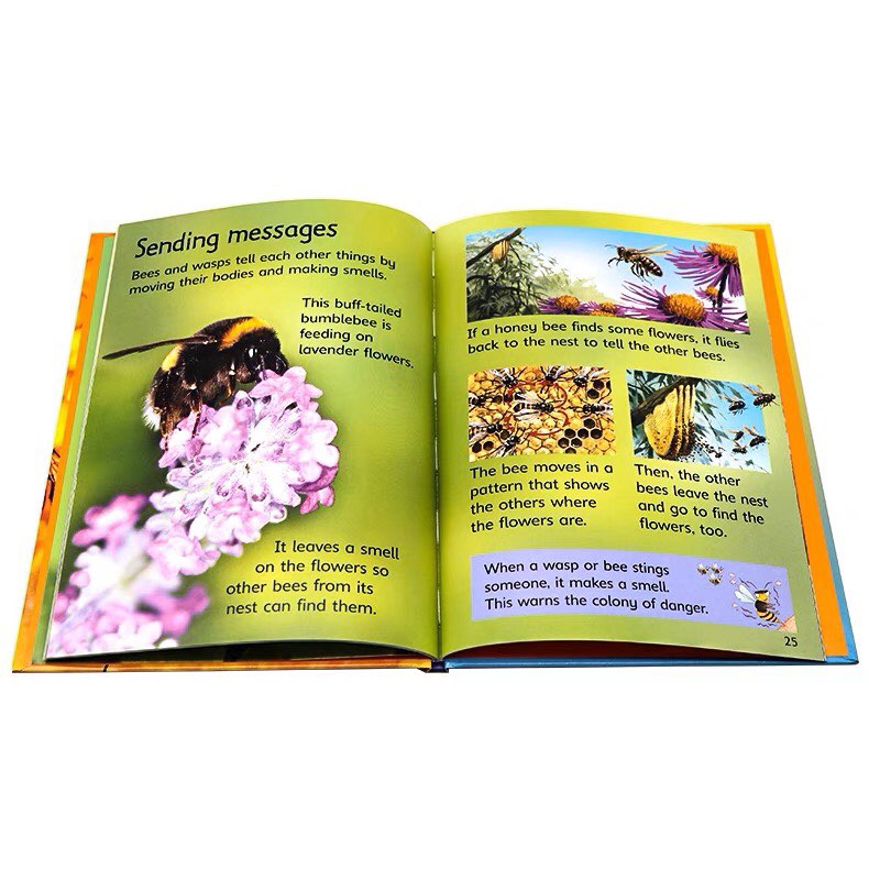 現貨）Usborne beginners 精裝硬殼版初學者科普套書Science History