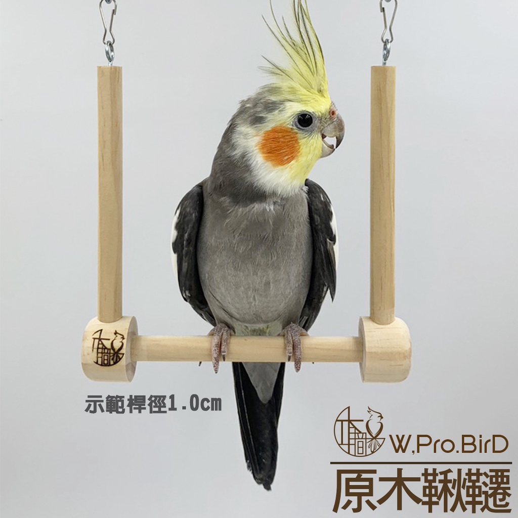 木職鳥MuZhiBirD︱鞦韆原木鞦韆原木玩具鸚鵡鏽眼雀鳥鳥寵物皆可使用