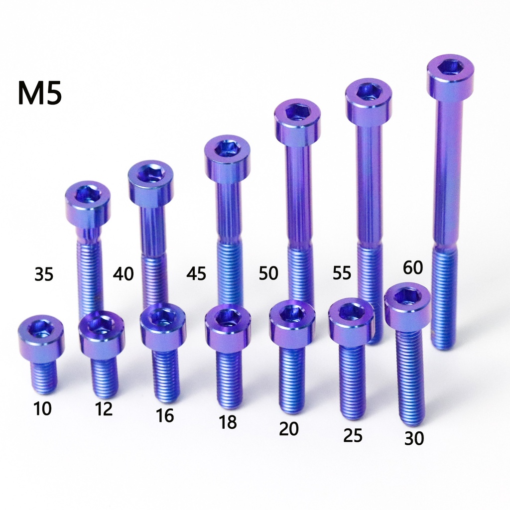 RTAMO | M4 M5 M6 L6—L65 64正鈦DIN912圓柱頭螺絲車身車殼改裝藍紫色
