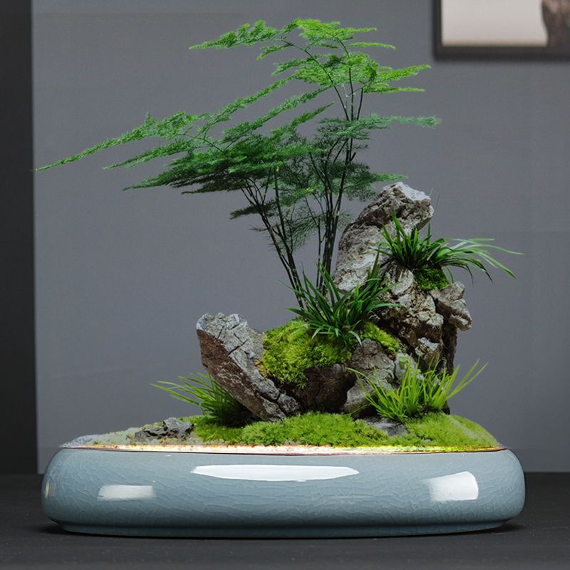 紫砂盆- 優惠推薦- 2025年7月| 蝦皮購物台灣