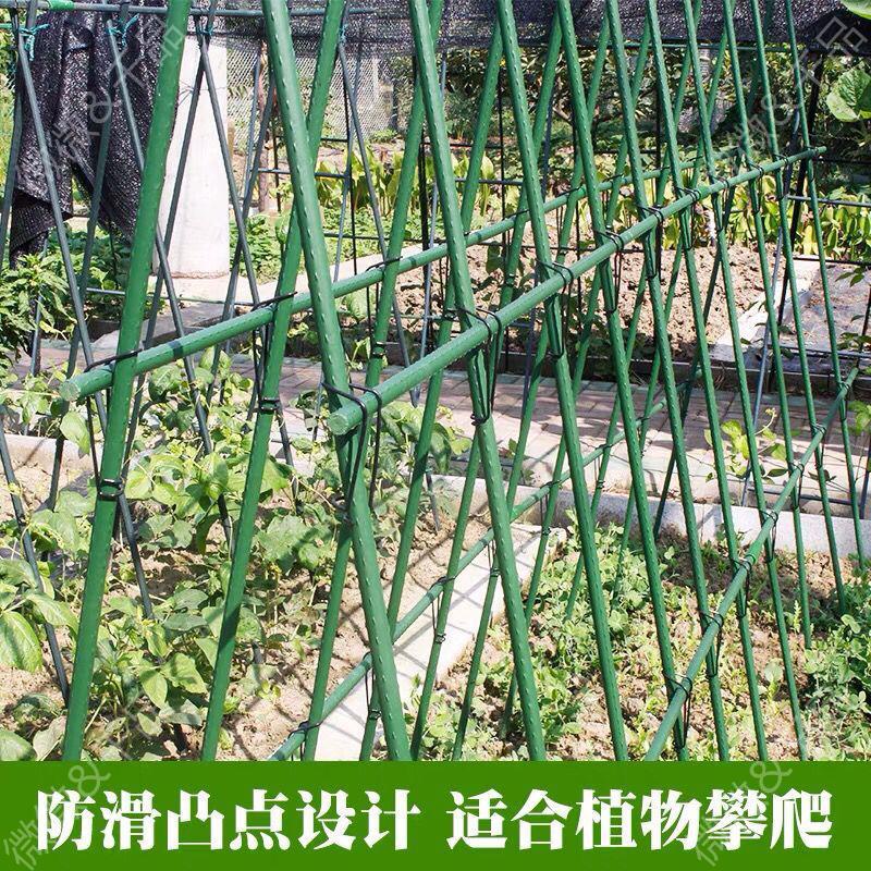 黄瓜架子种菜豆角丝瓜架子葡萄爬藤架子花园架花支架子户外庭院架 | 蝦皮購物