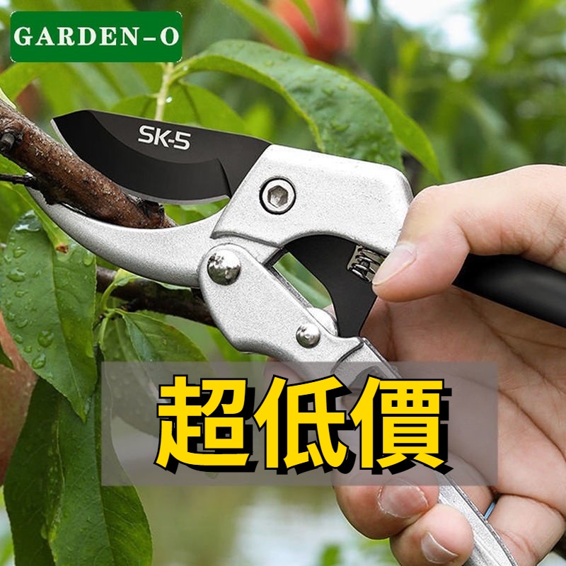 【超低價】鋼剪果樹剪修枝剪粗枝剪園藝工具家用花木修剪 | 蝦皮購物