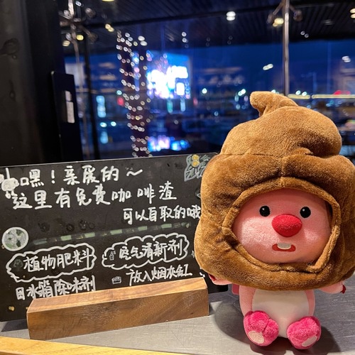 【Sunshine】 超可愛海狸套裝 loopy韓國 粉紅 玩偶 露比 鯛魚燒 頭套 小熊 可愛 毛絨 娃娃 女生 公仔 | 蝦皮購物