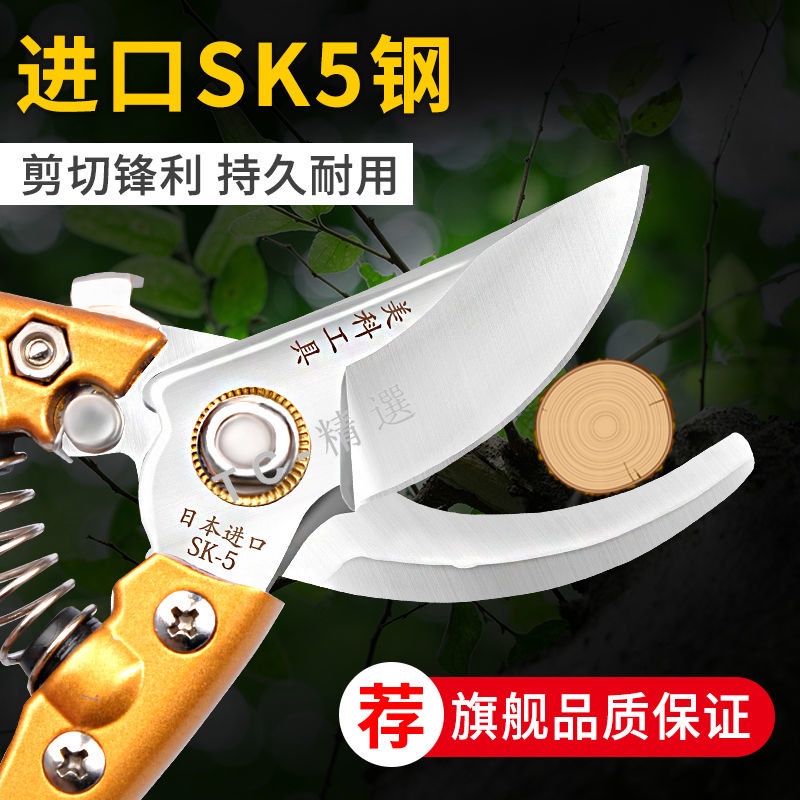購滿199發貨 修枝剪刀 園藝剪刀 果樹剪 多功能家用省力 樹枝剪子修花園林剪 | 蝦皮購物