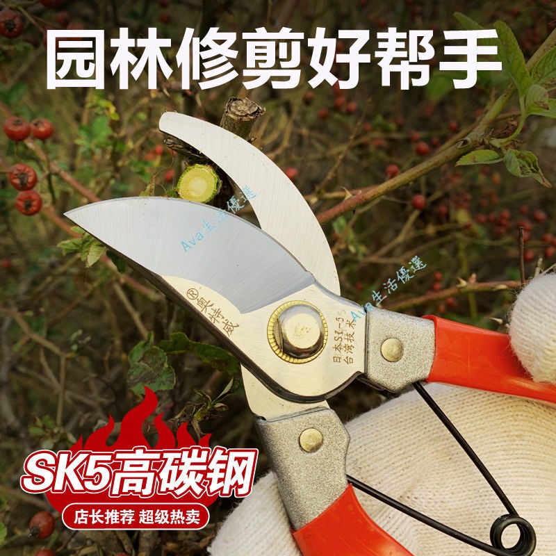 園林修枝剪刀 修剪樹枝 果樹剪刀園藝修花工具 果枝剪蔬果修粗枝剪刀 | 蝦皮購物