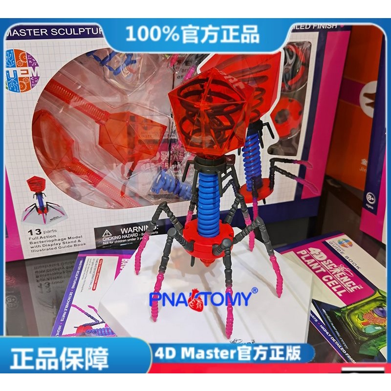 (MD-E51) 正版 4D MASTER病毒噬菌體拼裝解剖模型醫學(可開發票) | 蝦皮購物
