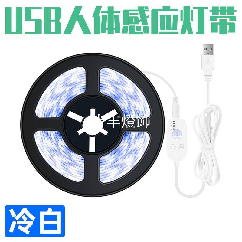 LED感應燈條插電 USB感應燈條 智能人體感應燈條 自動感應燈帶 LED光控感應燈條 衣櫃 櫥櫃 床底感應燈條 | 蝦皮購物