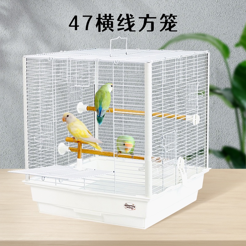 免运#下杀鳥籠籠子4747加宽47cm横线方笼刺星球立柱基础鹦鹉鸟笼