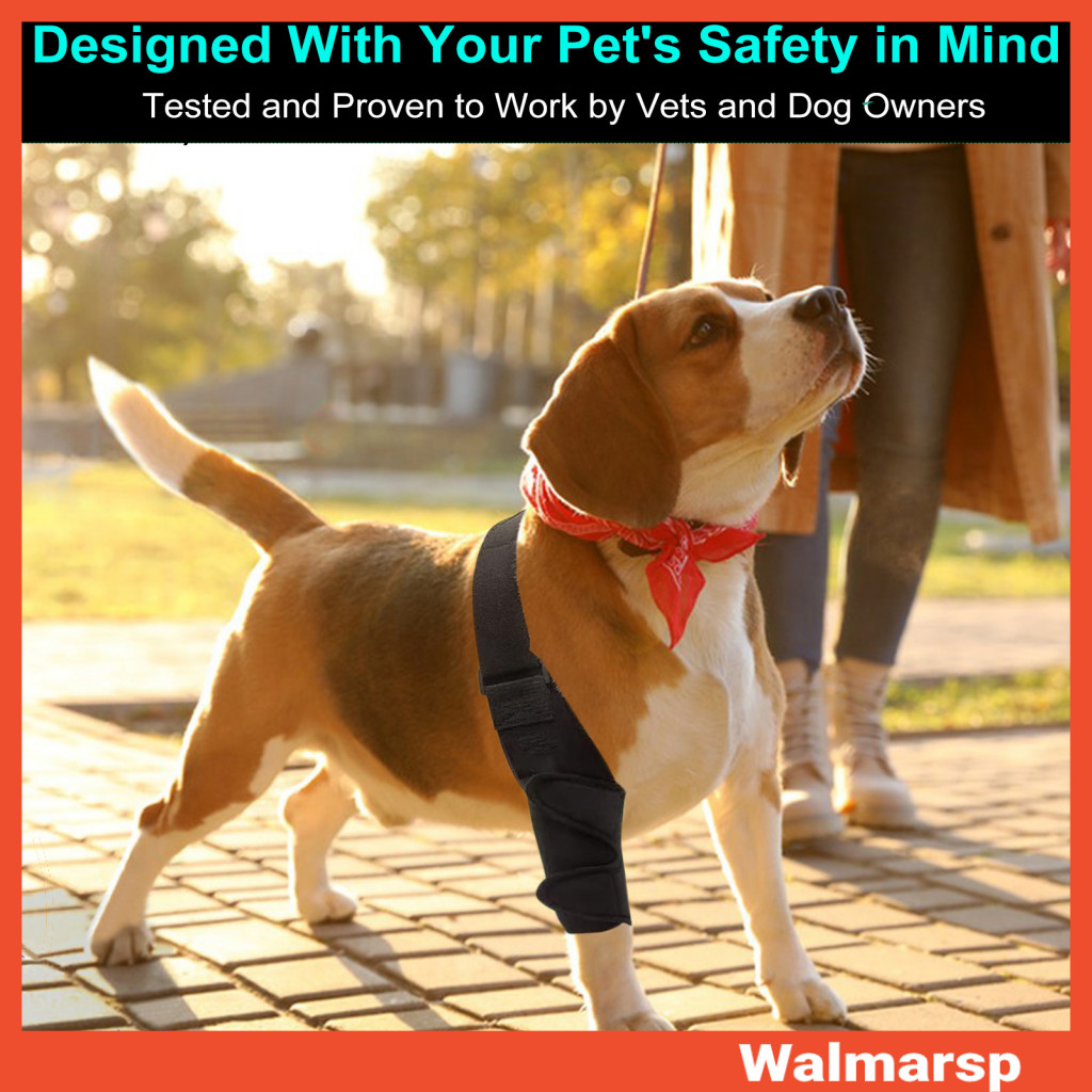 [WMP] Dog Acl Tear Knee Brace Dog Leg Brace 適用於關節炎可調節狗 Acl 支 | 蝦皮購物