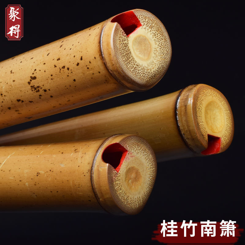 一節桂竹南簫大頭蕭專業演奏素蕭南音洞簫八孔F竹根簫G調樂器簫笛 | 蝦皮購物