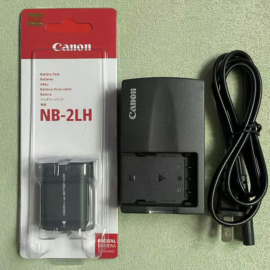 Chargeur Compatible Avec CANON POWERSHOT SD1100IS | Leroy Merlin