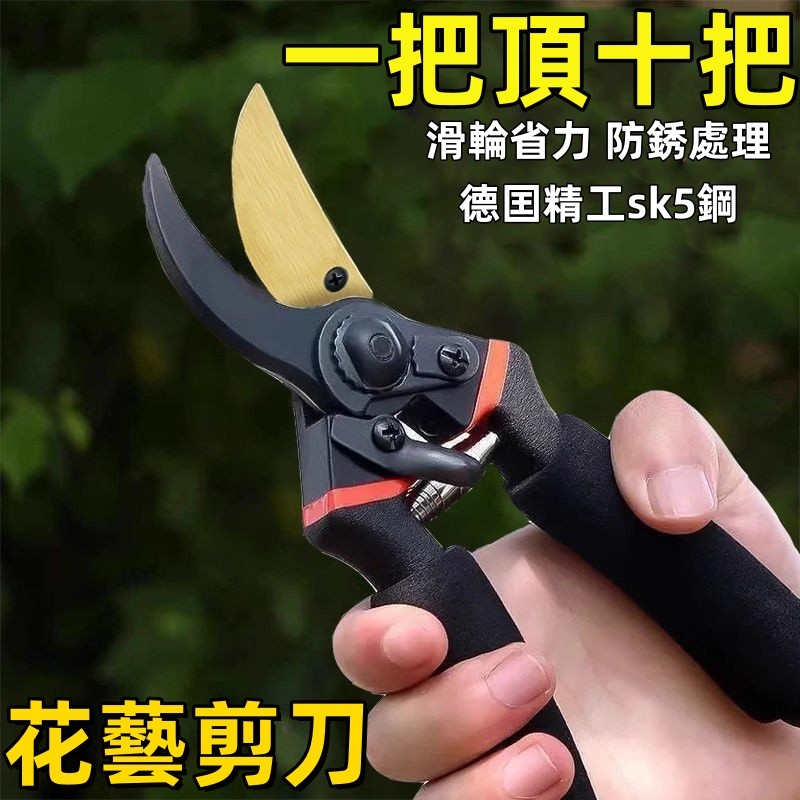 台灣出貨🍊SK5 樹枝剪 園藝剪 花剪 園藝剪刀 修枝剪 高枝剪 粗枝剪刀 修花剪刀 果樹剪 園藝工具 花藝剪刀 | 蝦皮購物