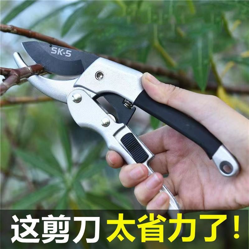 [優選]德式粗枝剪滑輪省力修枝剪刀園藝修花摘果剪嫁接園林剪工具修果剪 | 蝦皮購物